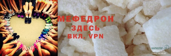 индика Арсеньев