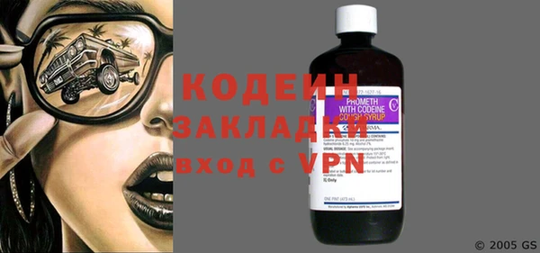 индика Арсеньев