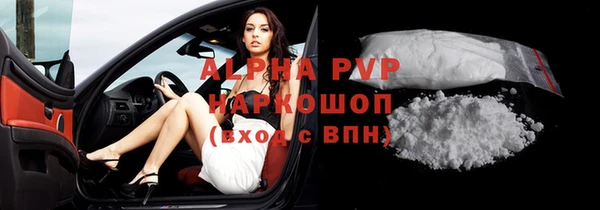 индика Арсеньев