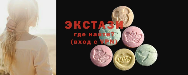 индика Арсеньев