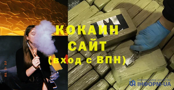индика Арсеньев