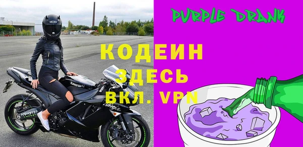индика Арсеньев