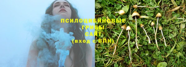индика Арсеньев
