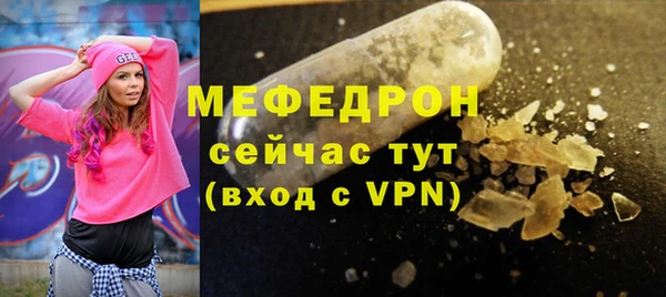 индика Арсеньев