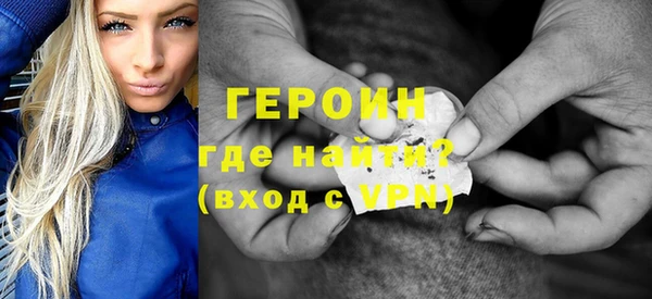 индика Арсеньев