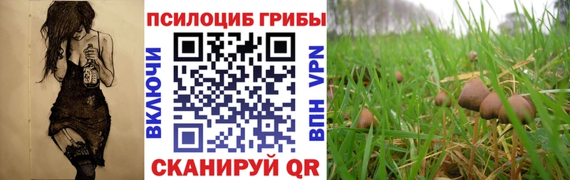KRAKEN ONION Саки Псилоцибиновые грибы Cubensis цена наркотик